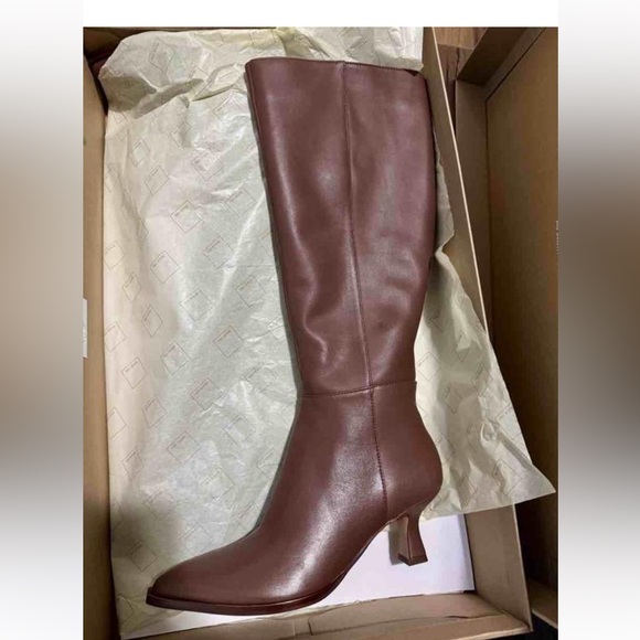 Dolce Vita Auggie Pointed Toe Knee High Boot